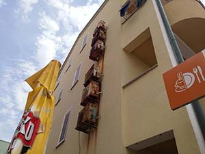 stare klime prije postavljanja